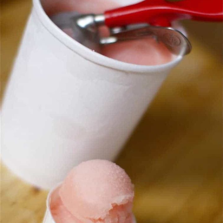 Pink Grapefruit Sorbet