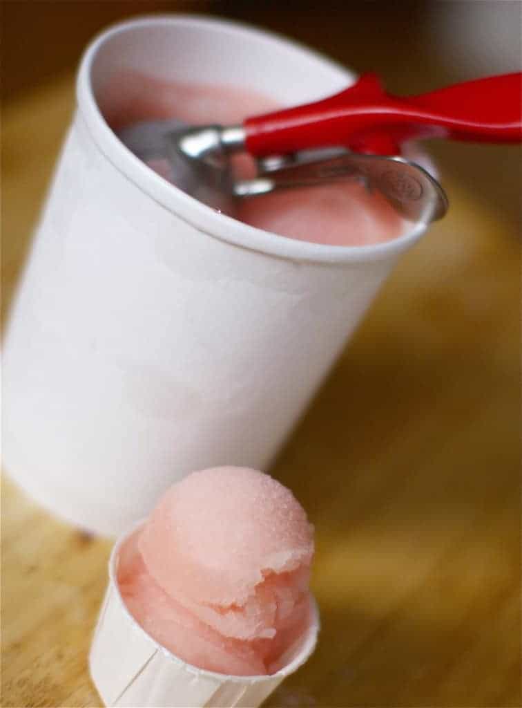 Pink Grapefruit Champagne Sorbet