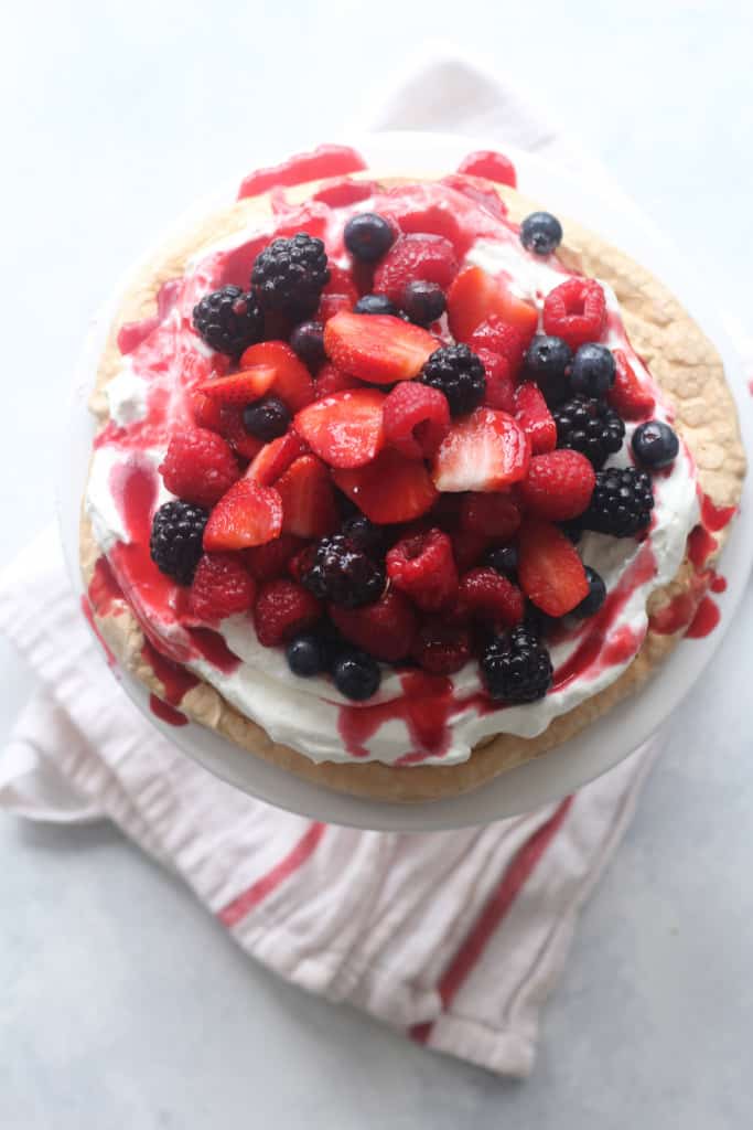 pavlova1