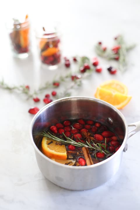 Orange, Cranberry, & Clove Simmer Pot Mix, Cottagecore