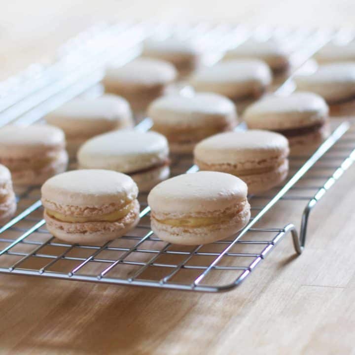 Basic Macarons