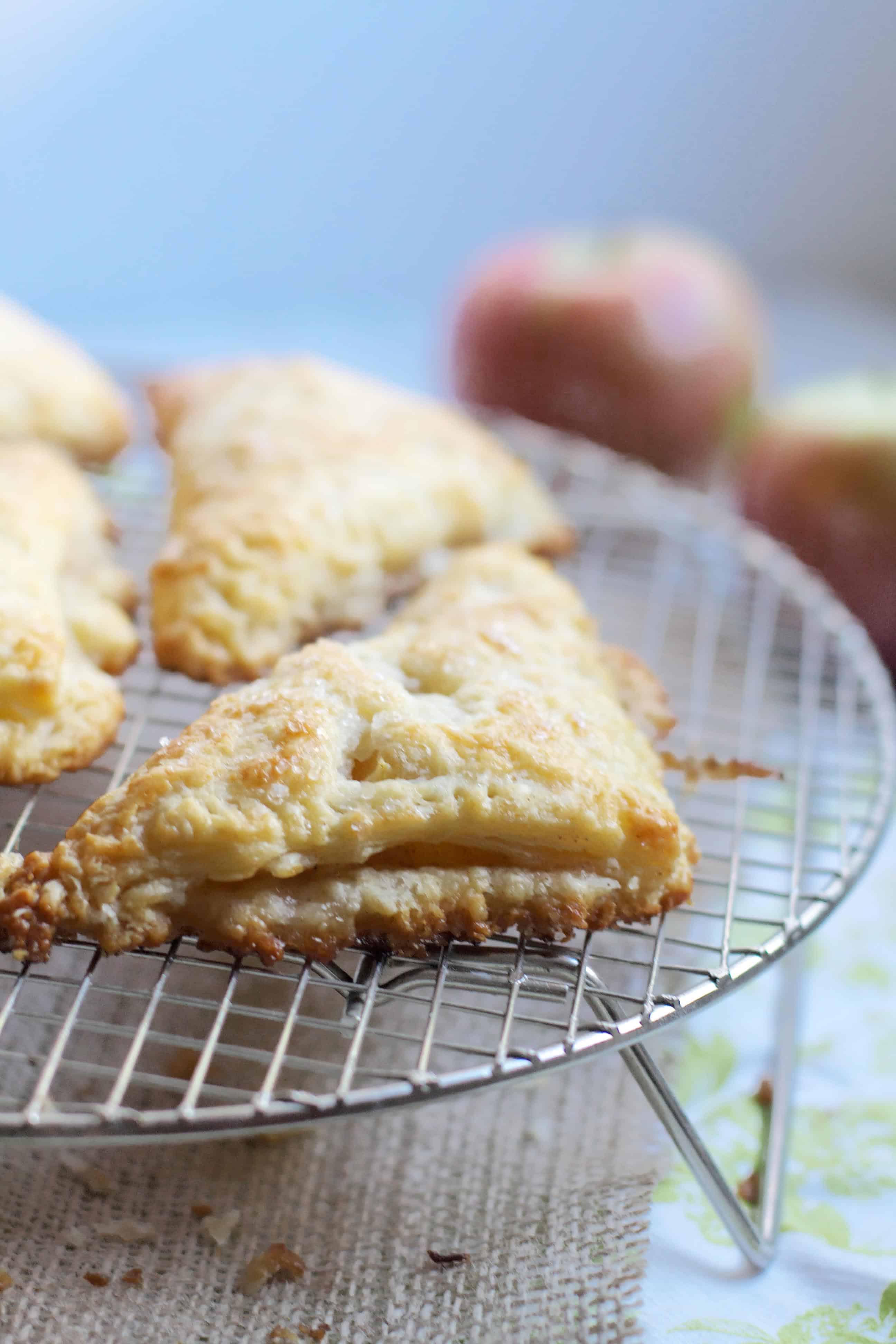 Autumn Apple Turnovers