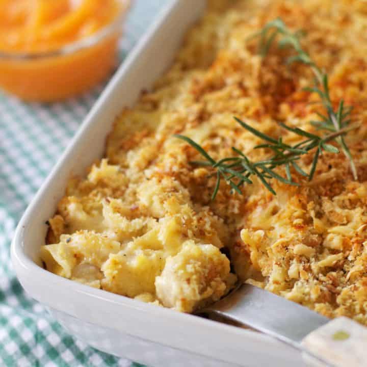 Creamy Pumpkin Mac and Cheese