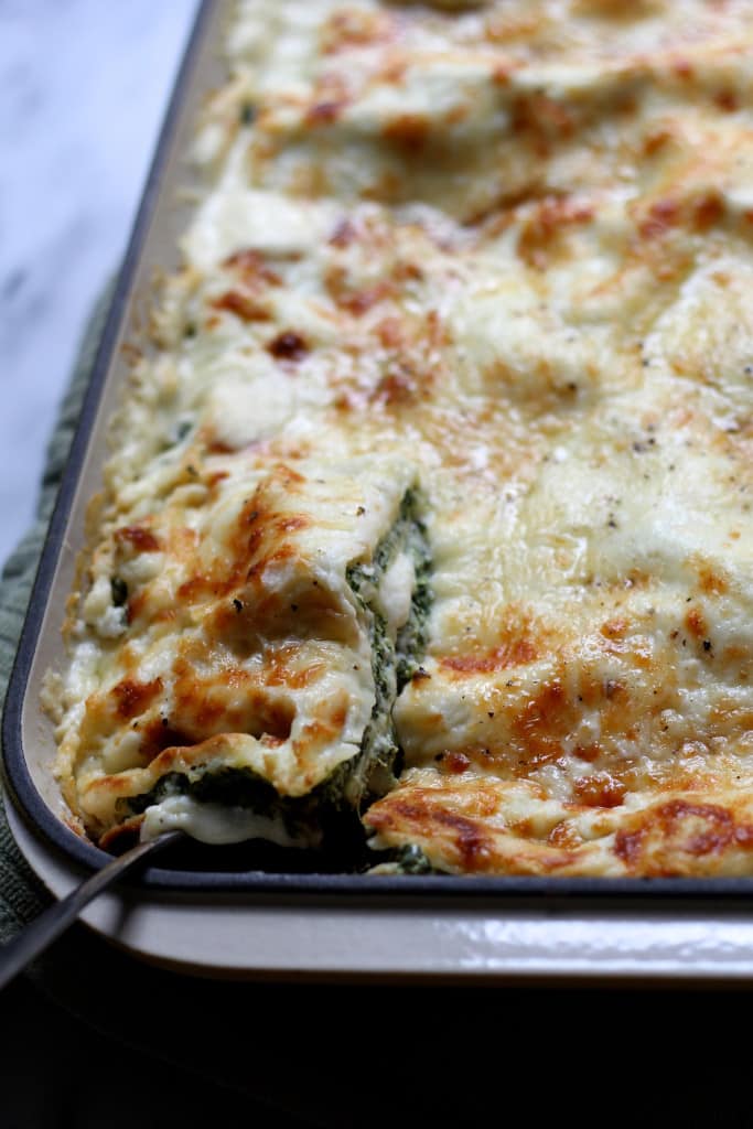 White Spinach Lasagna- a delicious, creamy, vegetarian lasagna that is perfect for dinner with some lemony salad on the side! #vegetarian #dinnerideas #lasagna