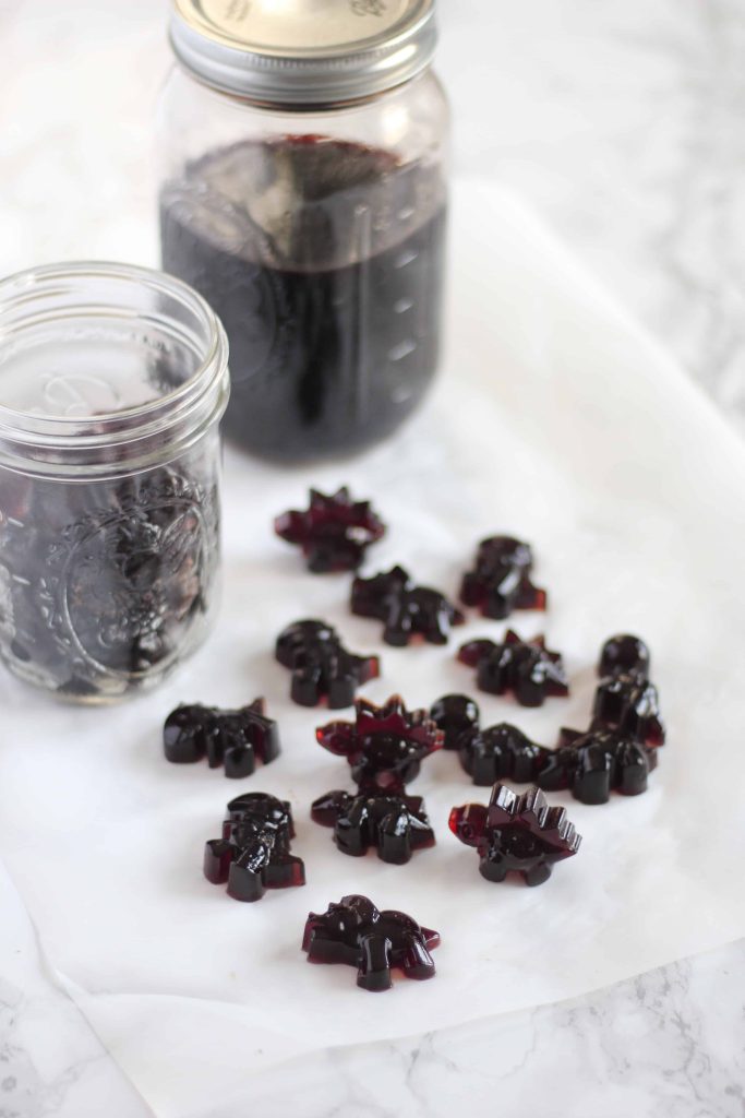Elderberry Gummies- perfect for keeping your kids well all year round!