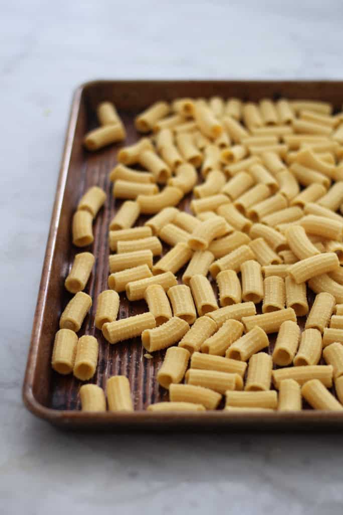 Fresh Rigatoni