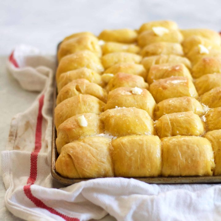 Pumpkin Parkerhouse Rolls